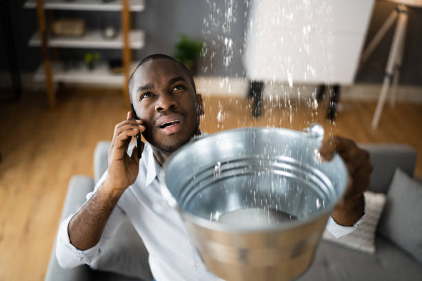 Best Ceiling water damage repair  in Yorkvle, IL