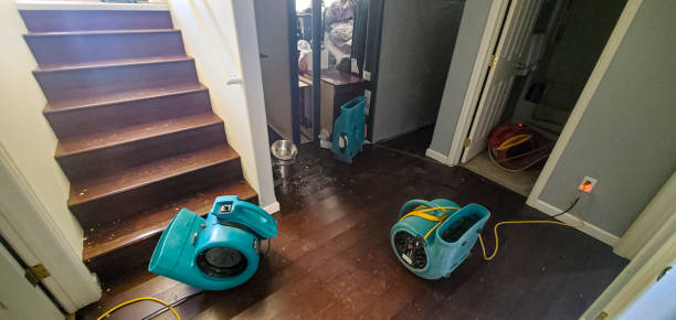 Best Residential water damage restoration  in Yorkvle, IL