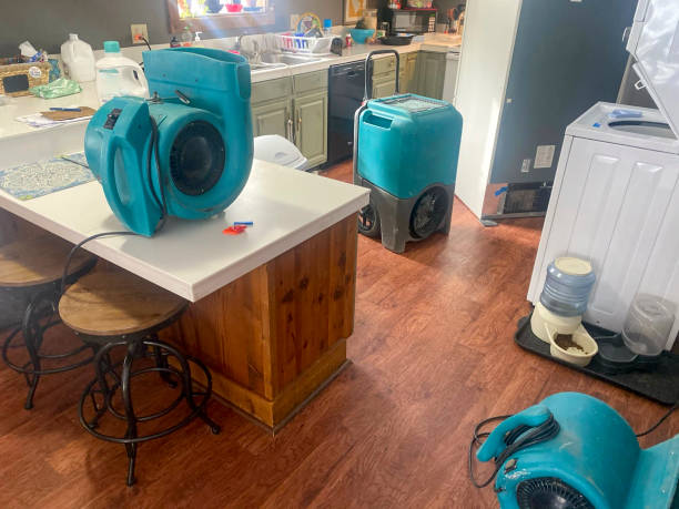 Best Flooded house restoration  in Yorkvle, IL