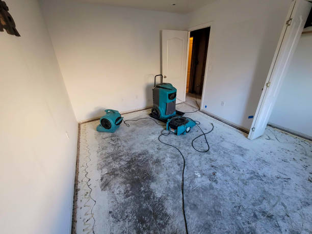 Best Water damage mitigation services  in Yorkvle, IL