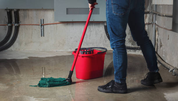 Best 24-hour water damage restoration  in Yorkvle, IL