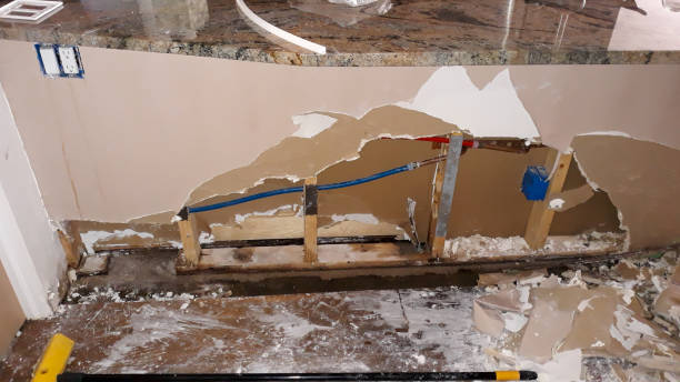Best Fire Damage Restoration  in Yorkvle, IL