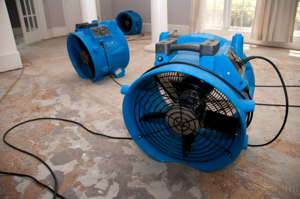 Best Water damage repair service  in Yorkvle, IL