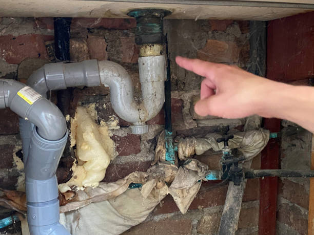 Best Water damage contractors near me  in Yorkvle, IL
