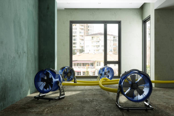 Professional Water damage restoration in Yorkville, IL