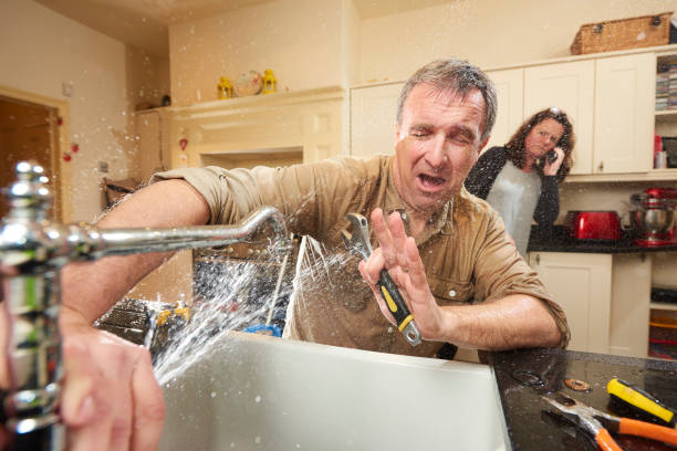 Best Flood damage cleanup  in Yorkvle, IL